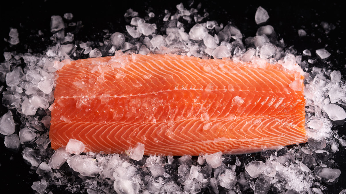 Comment choisir le meilleur saumon congelé ?